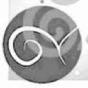 Meet your Posher, Judi